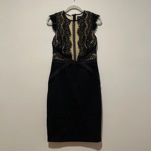 Phase Eight Cocktail Lace Dress